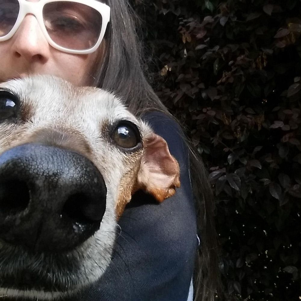 Meet your Posher, Sandya